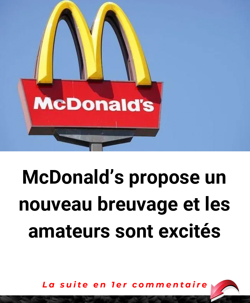McDonald's propose un nouveau breuvage et les amateurs sont excités