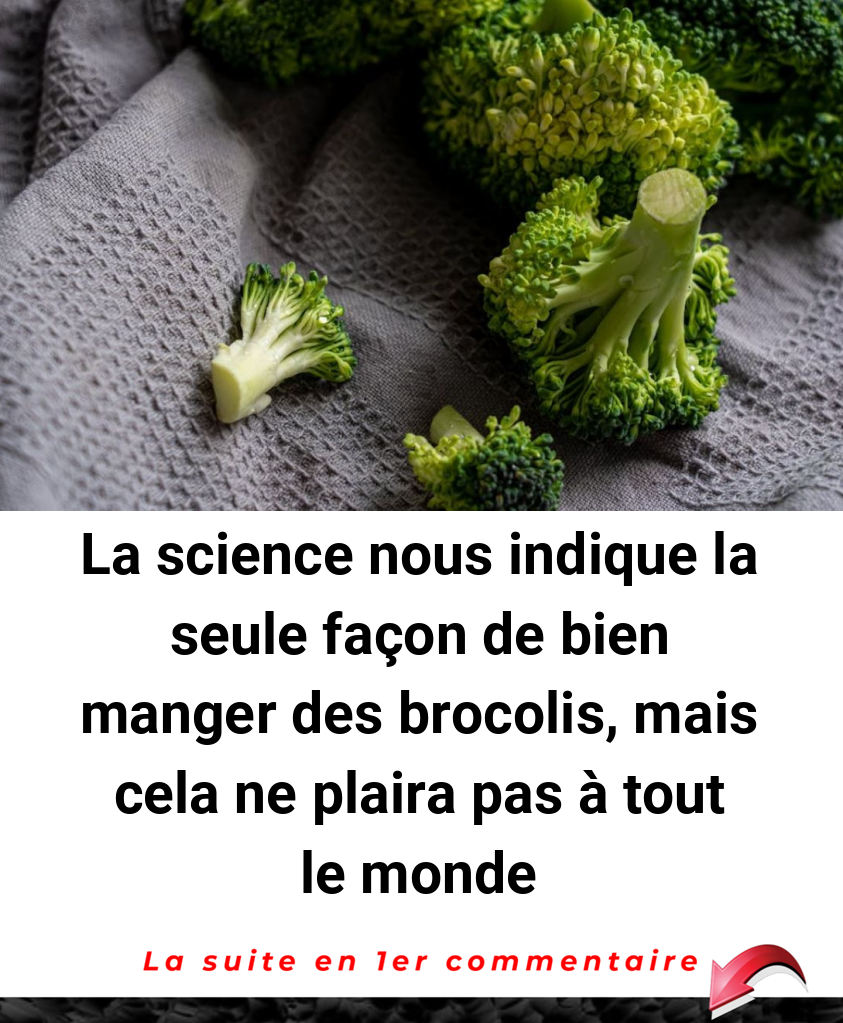 La science nous indique la seule façon de bien manger des brocolis, mais cela ne plaira pas à tout le monde