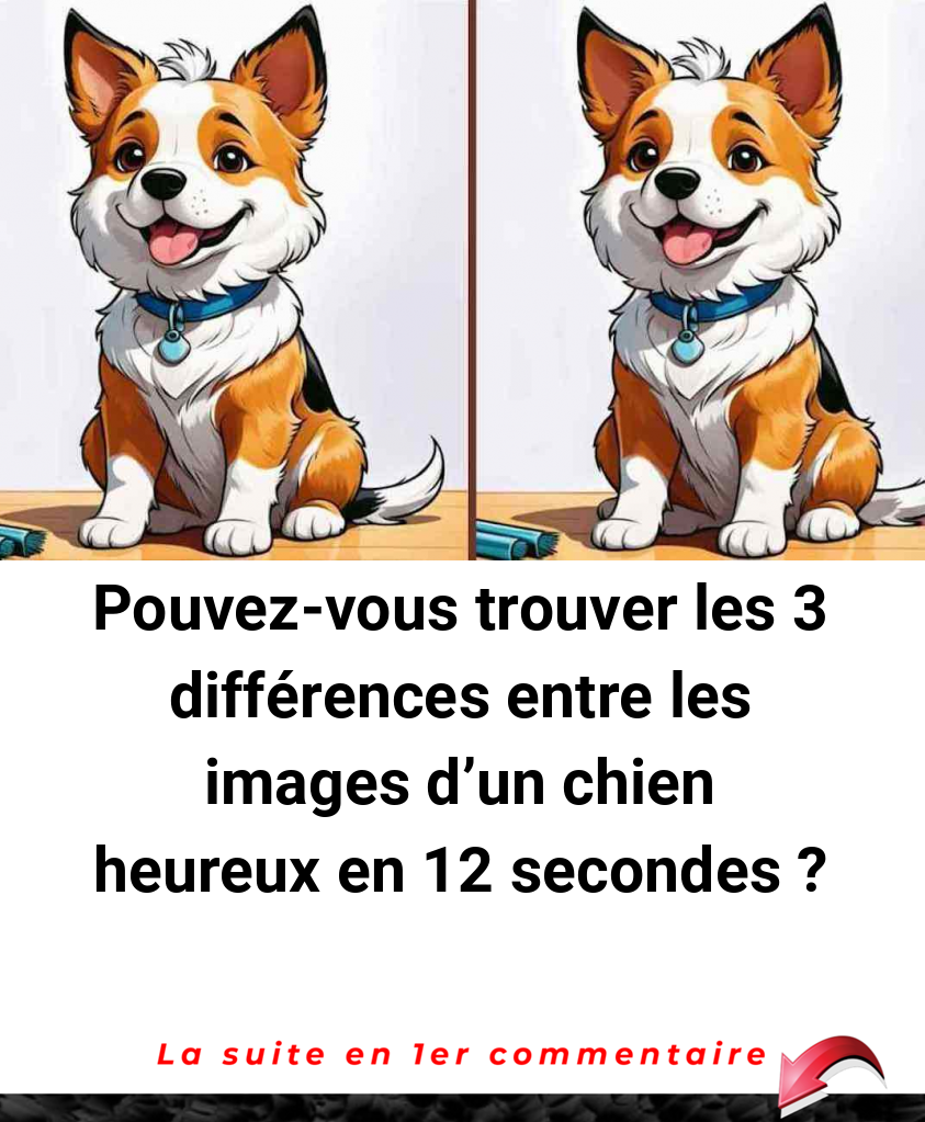 Pouvez-vous trouver les 3 différences entre les images d'un chien heureux en 12 secondes ?
