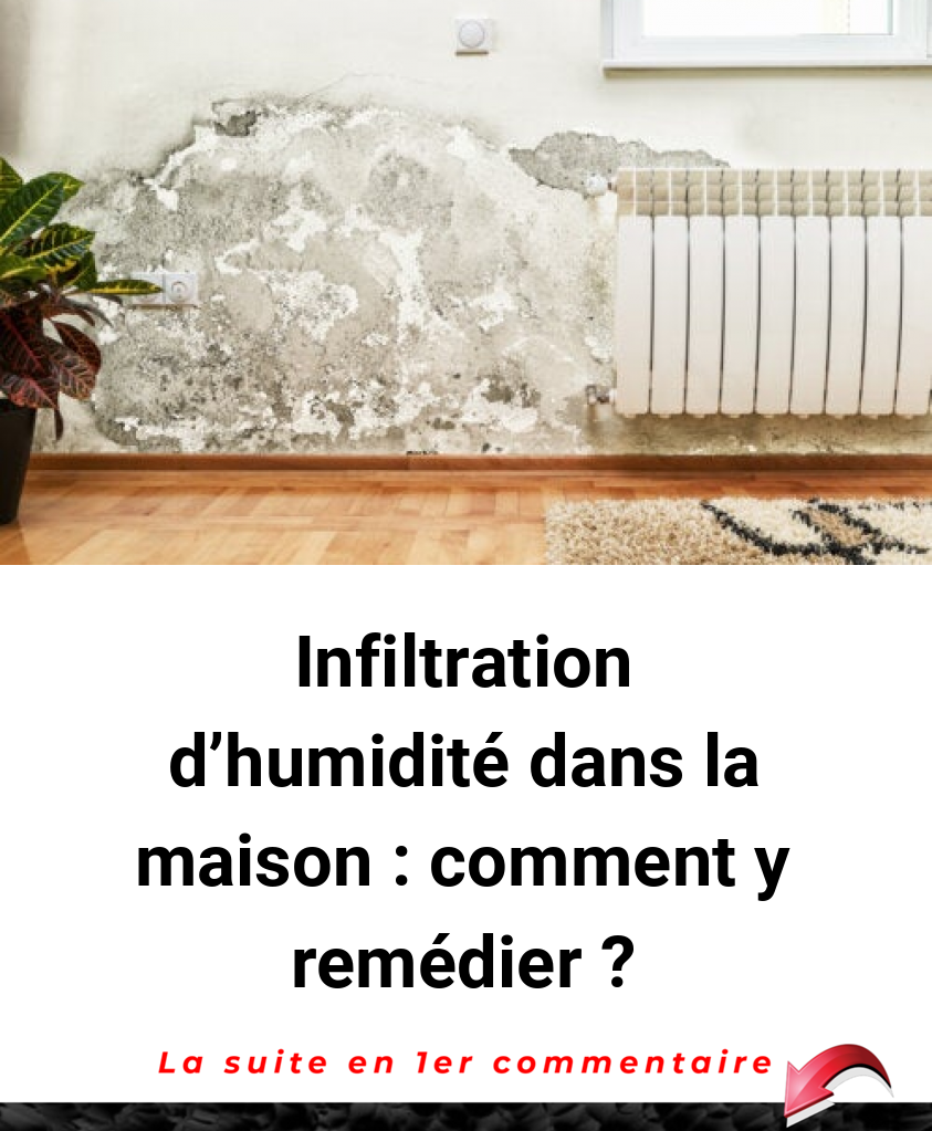 Infiltration d'humidité dans la maison : comment y remédier ?