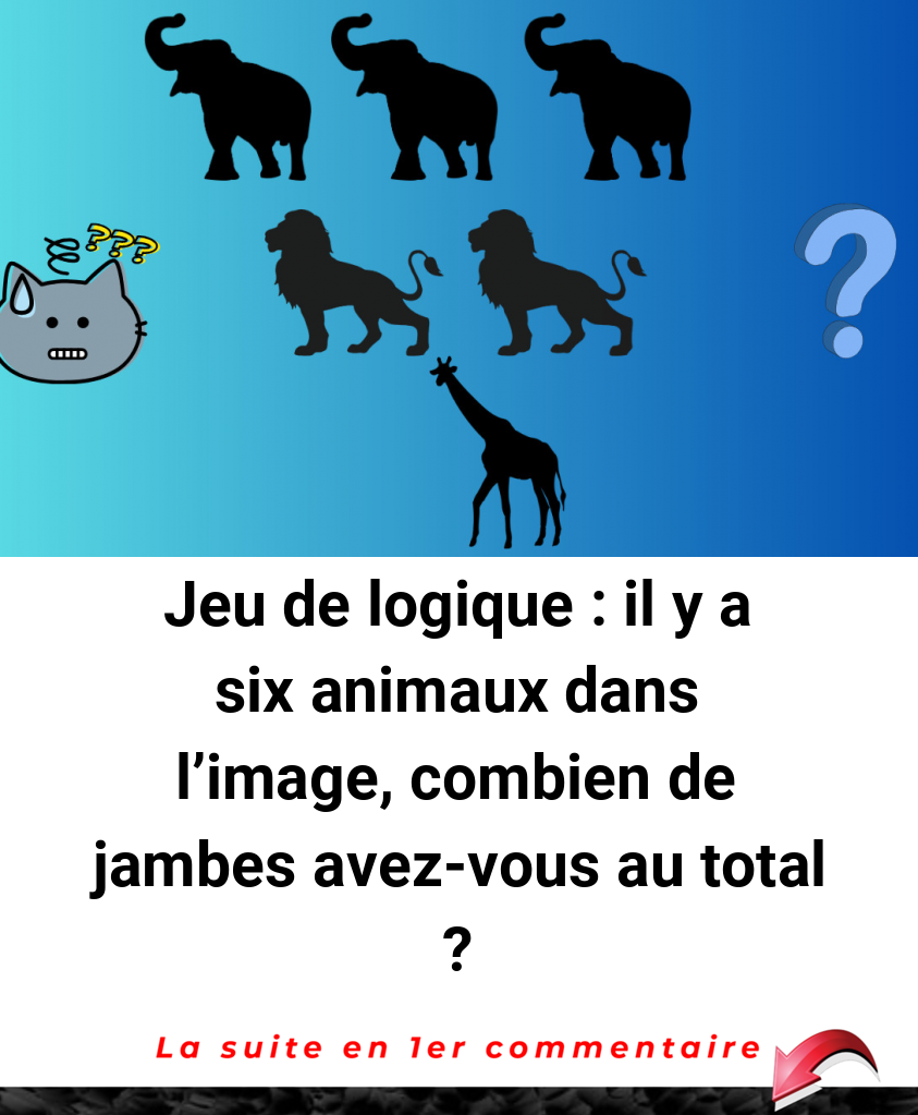Jeu de logique : il y a six animaux dans l'image, combien de jambes avez-vous au total ?