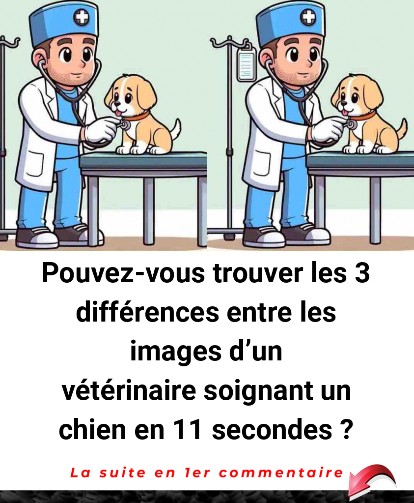 Pouvez-vous trouver les 3 différences entre les images d'un vétérinaire soignant un chien en 11 secondes ?