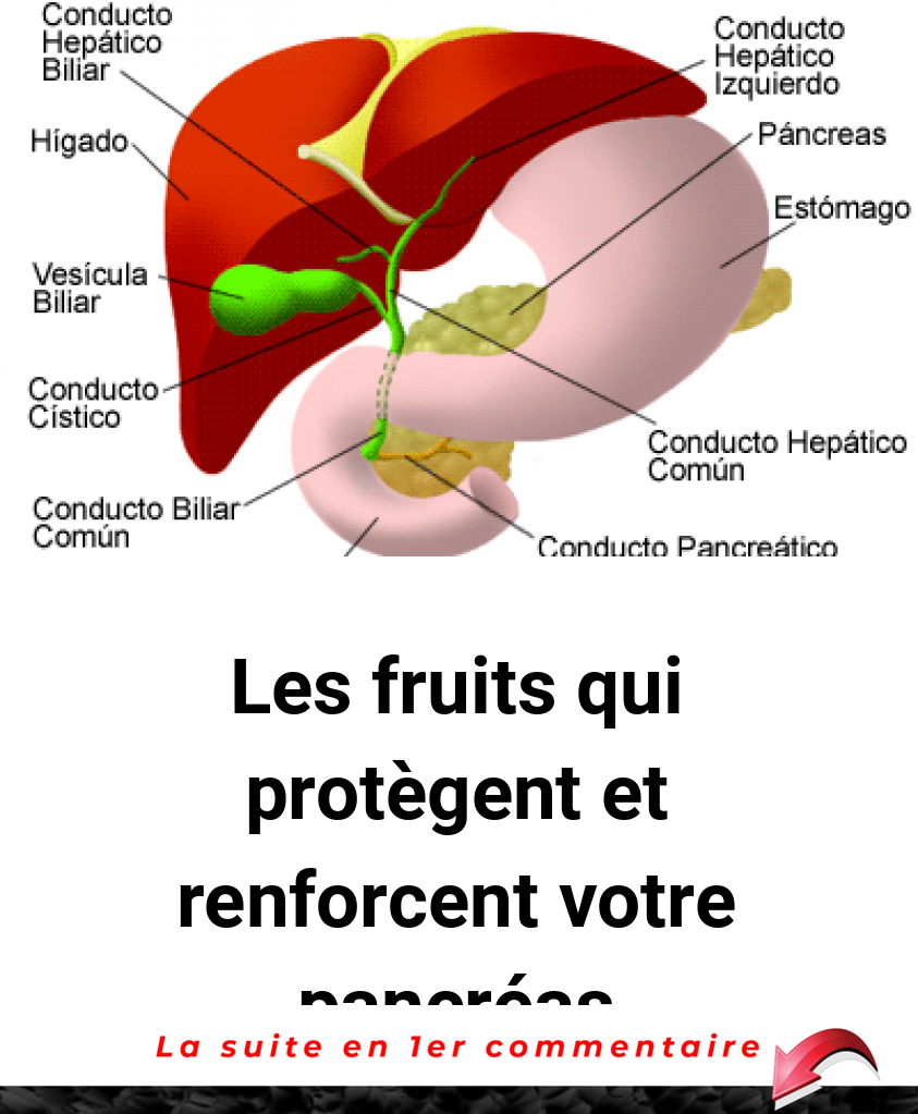 Les fruits qui protègent et renforcent votre pancréas