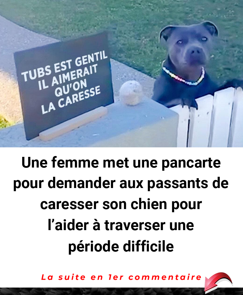 Une femme met une pancarte pour demander aux passants de caresser son chien pour l'aider à traverser une période difficile