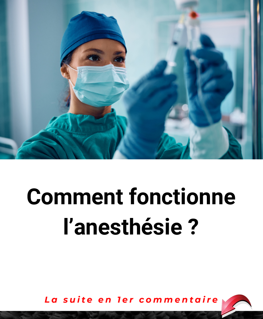 Comment fonctionne l'anesthésie ?