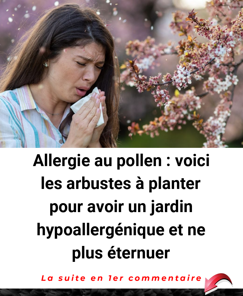 Allergie au pollen : voici les arbustes à planter pour avoir un jardin hypoallergénique et ne plus éternuer