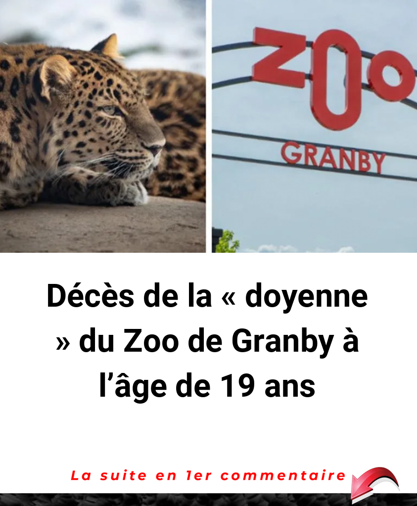 Décès de la « doyenne » du Zoo de Granby à l'âge de 19 ans