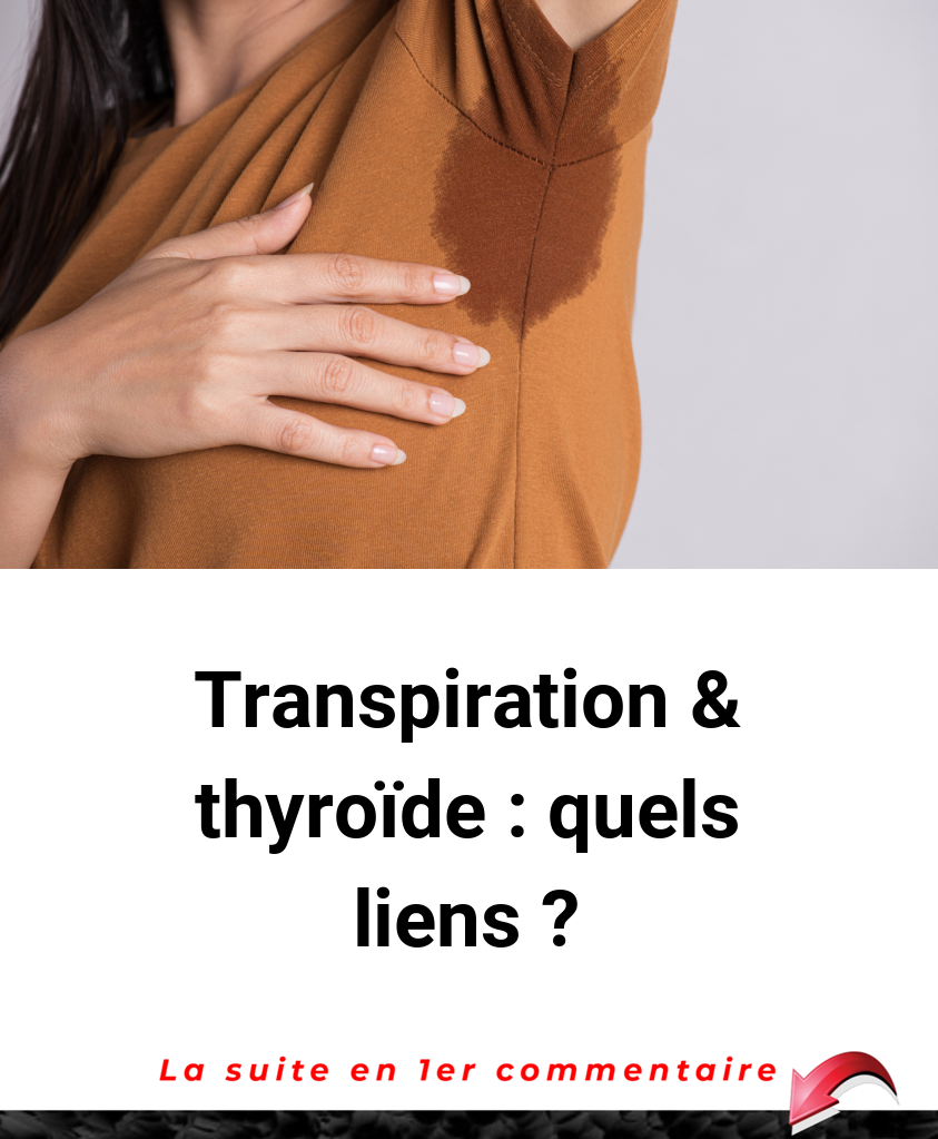 Transpiration & thyroïde : quels liens ?