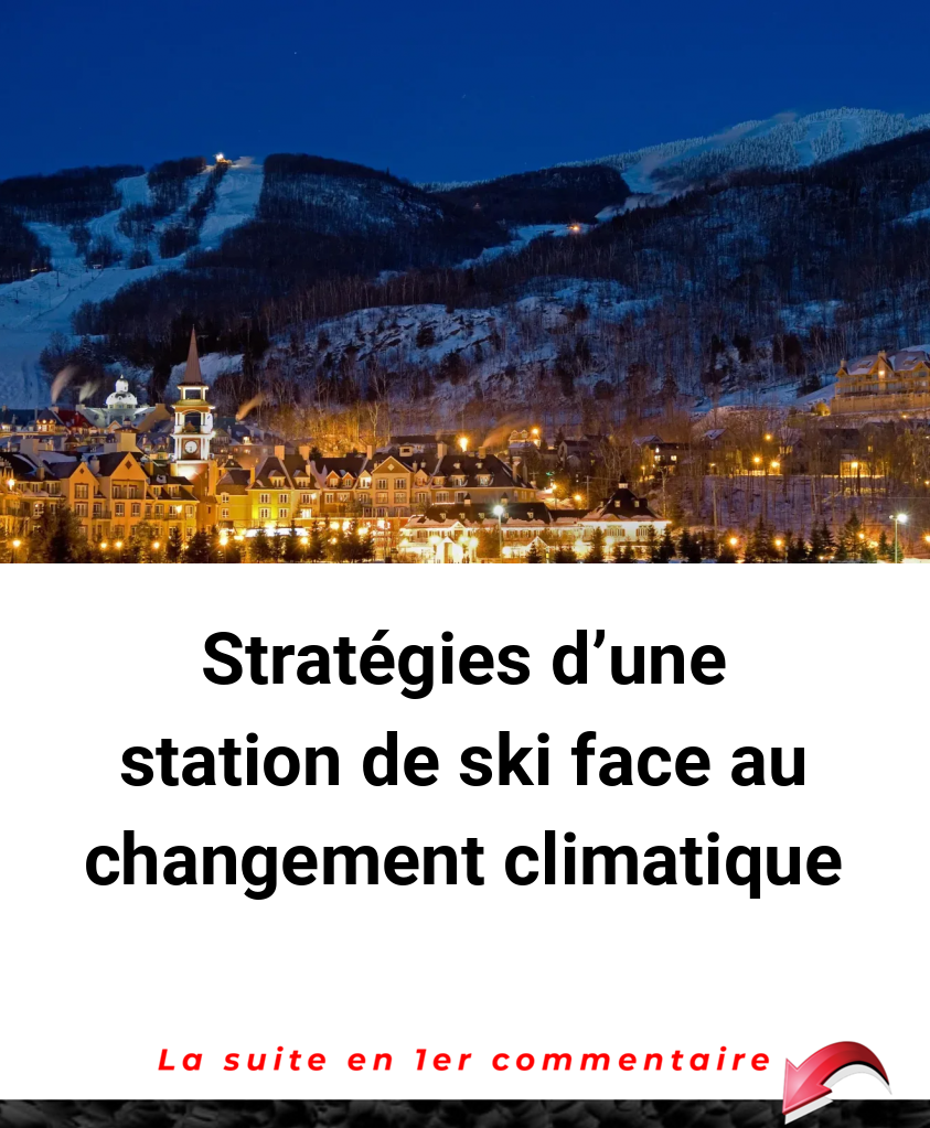 Stratégies d'une station de ski face au changement climatique