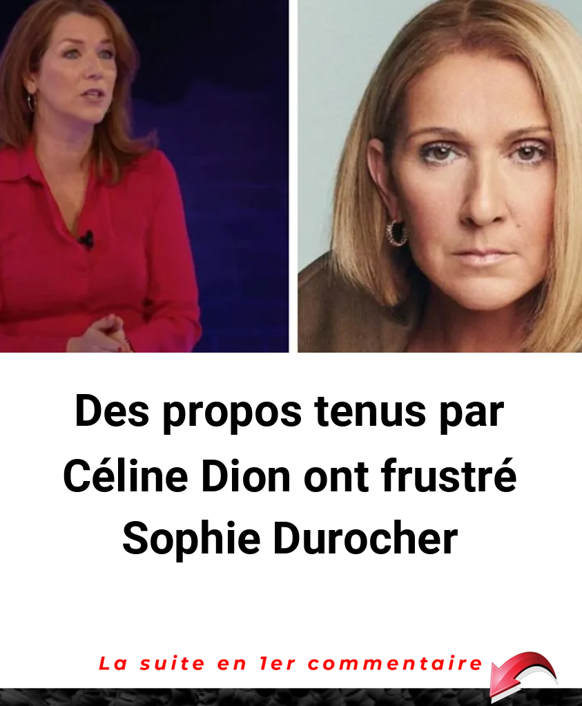 Des propos tenus par Céline Dion ont frustré Sophie Durocher